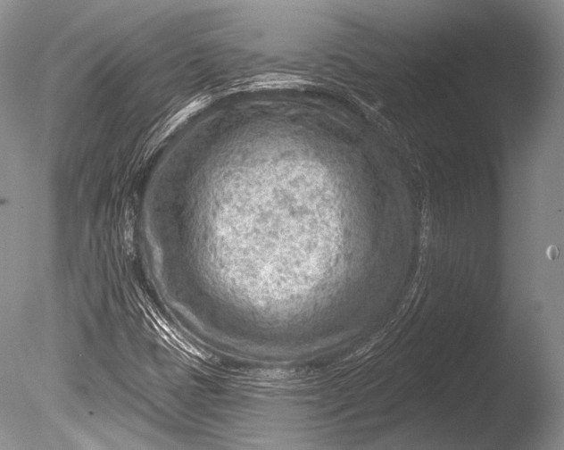 X0000085801401200703301446