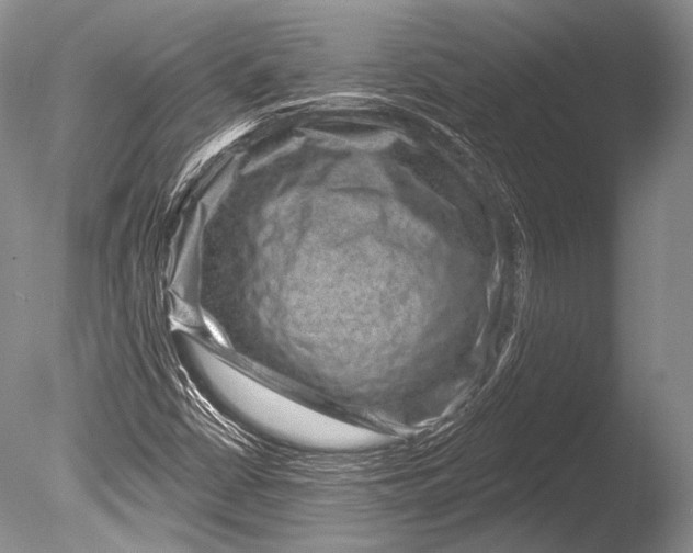 X0000085801402200703301446