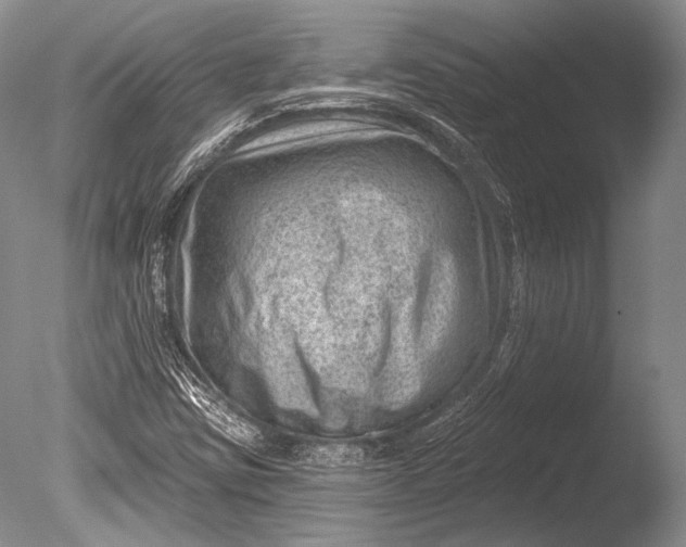 X0000085801403200703301446