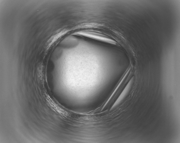X0000085801404200703301446