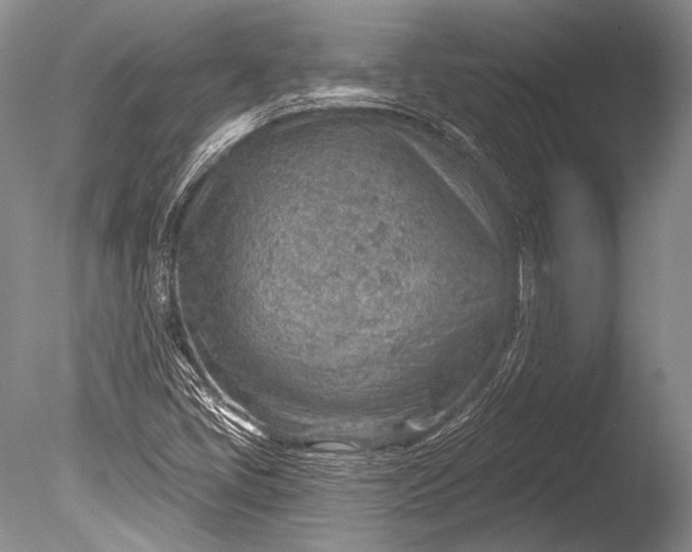 X0000085801405200703301446