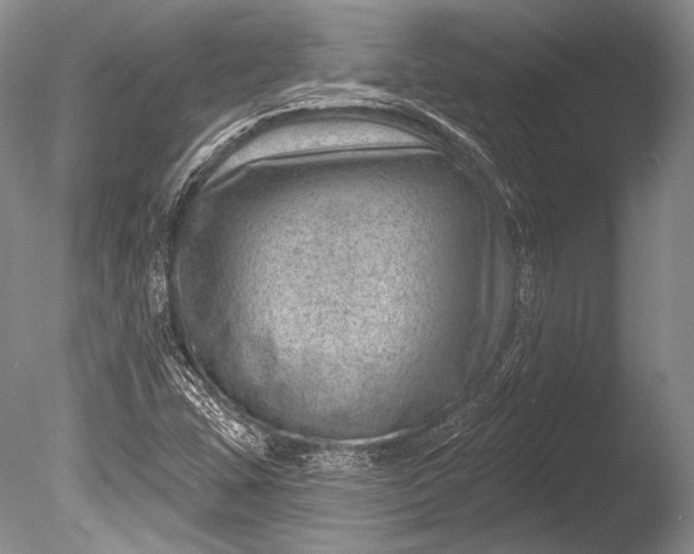 X0000085801407200703301446