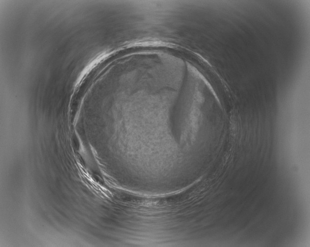 X0000085801408200703301446