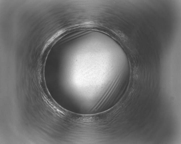 X0000085801410200703301446