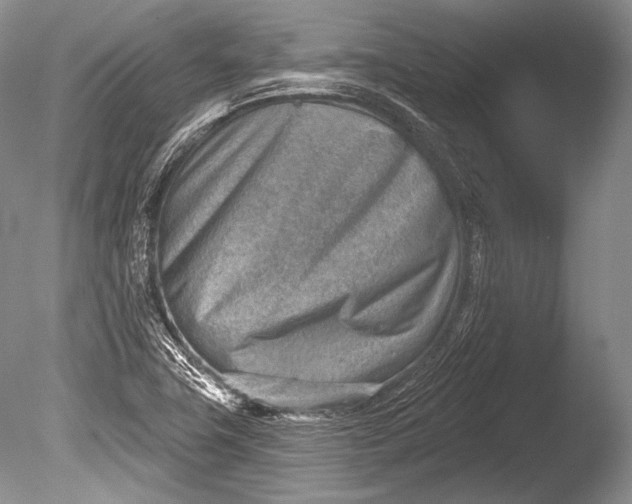 X0000085801411200703301446