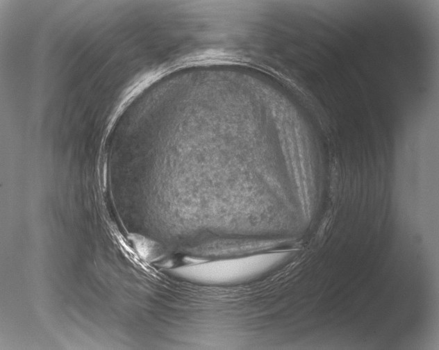 X0000085801413200703301446