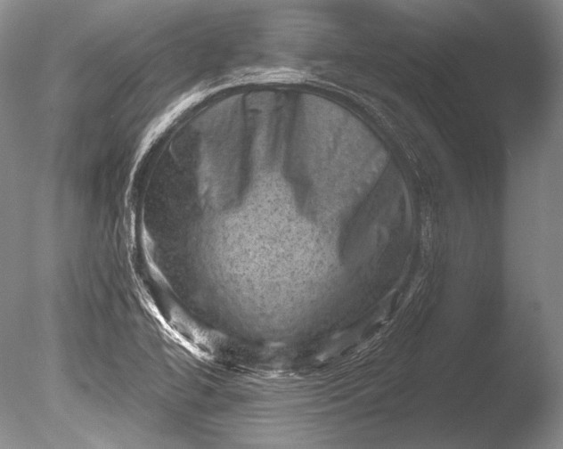 X0000085801414200703301446