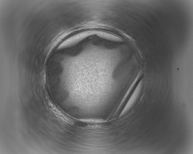 X0000085801415200703301446