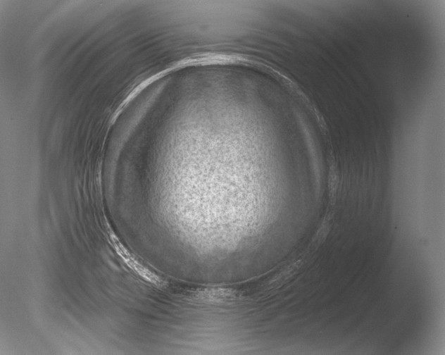 X0000085801417200703301446