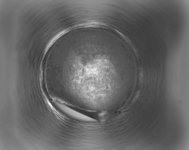 X0000085801418200703301446