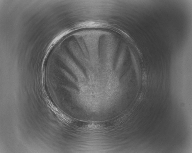 X0000085801419200703301446