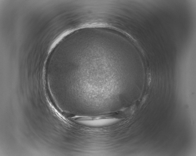 X0000085801422200703301446