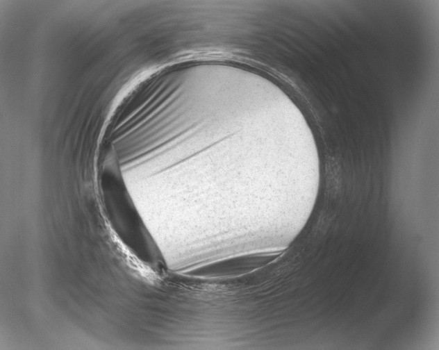 X0000085801424200703301446