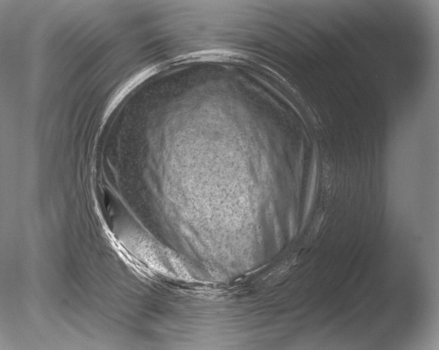 X0000085801426200703301446