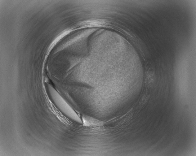 X0000085801427200703301446