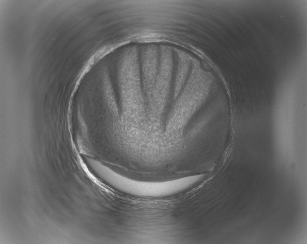 X0000085801429200703301446
