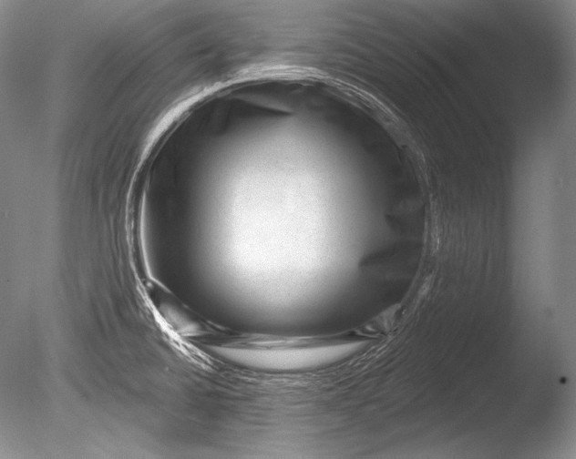 X0000085801430200703301446