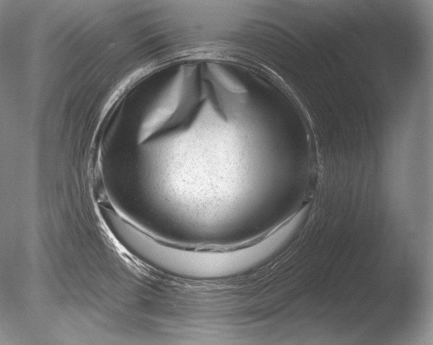 X0000085801434200703301446