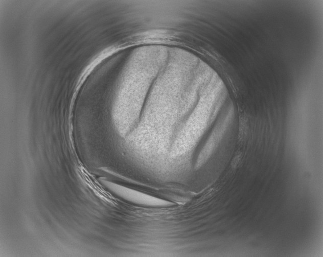 X0000085801435200703301446