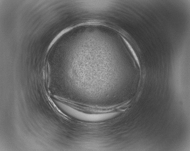 X0000085801436200703301446