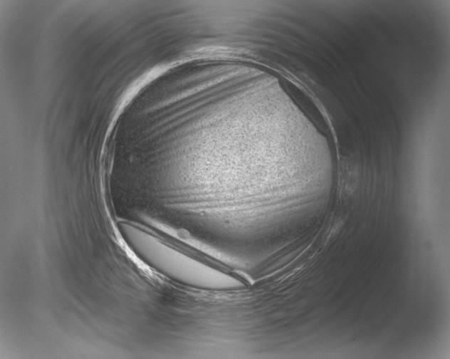 X0000085801437200703301446