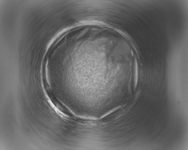 X0000085801438200703301446