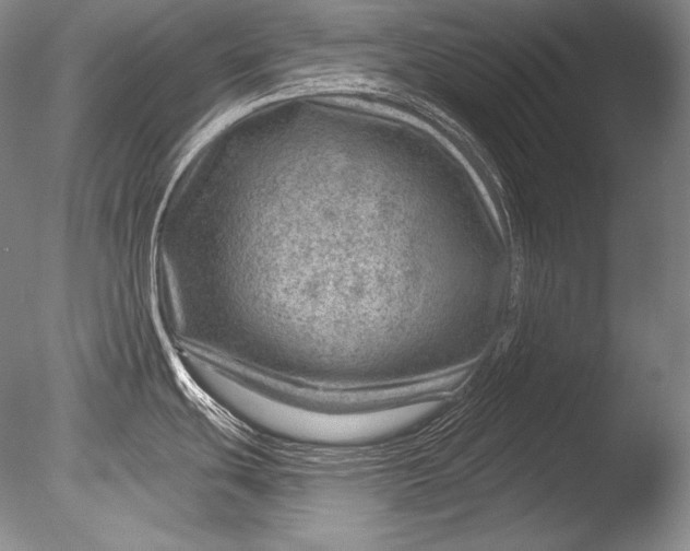 X0000085801439200703301446