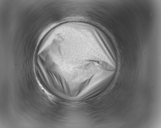 X0000085801440200703301446