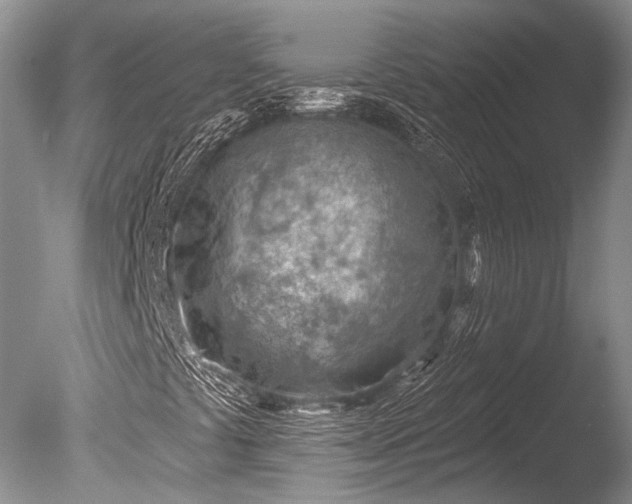 X0000085801441200703301446
