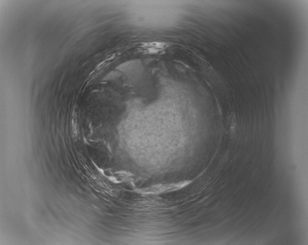 X0000085801442200703301446
