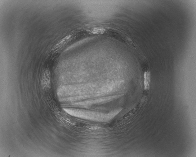 X0000085801443200703301446