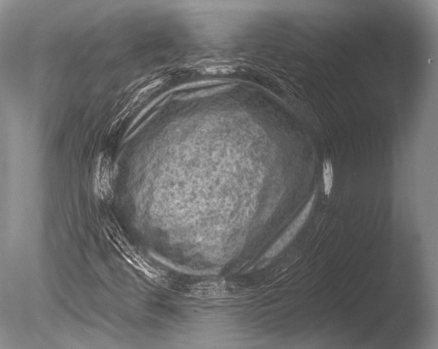 X0000085801444200703301446