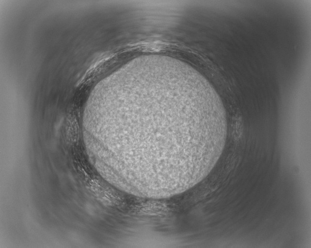 X0000085801446200703301445