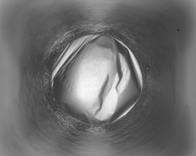 X0000085801447200703301445