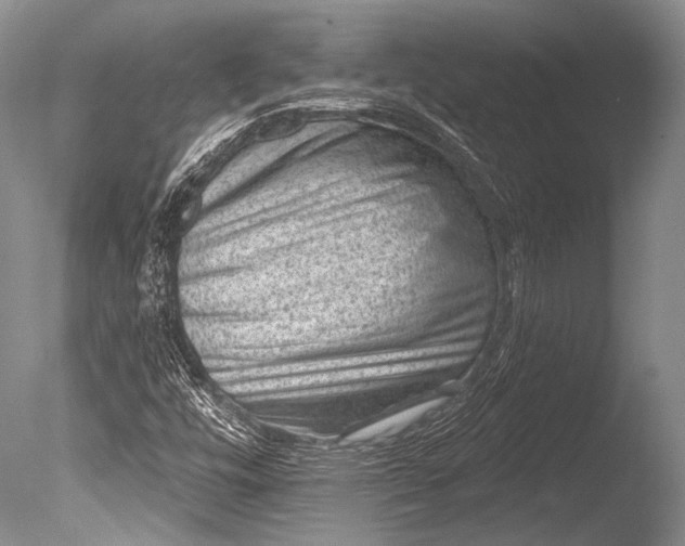 X0000085801448200703301445