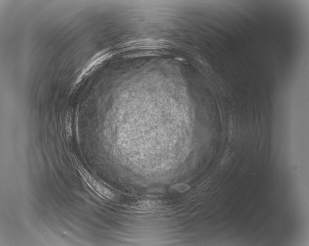X0000085801451200703301445