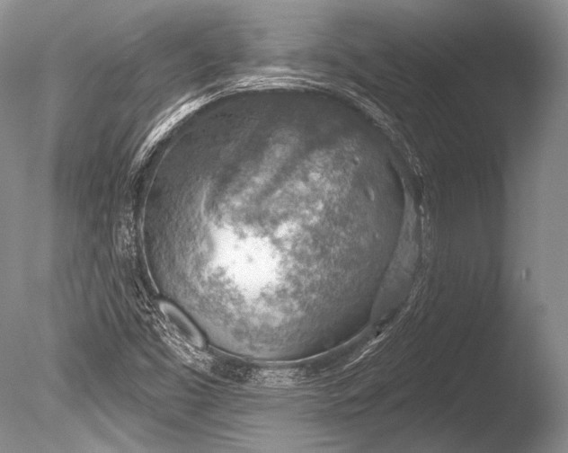 X0000085801453200703301445