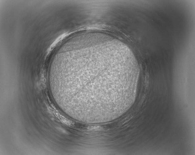 X0000085801454200703301445