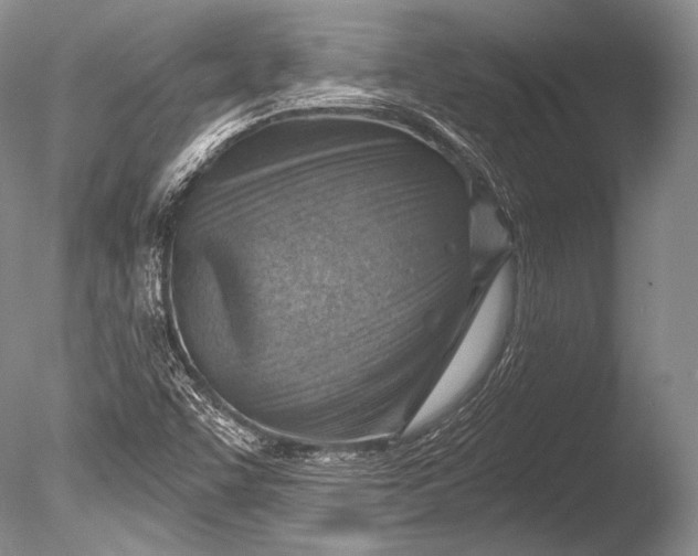 X0000085801455200703301445