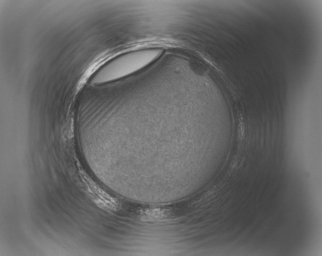 X0000085801459200703301445