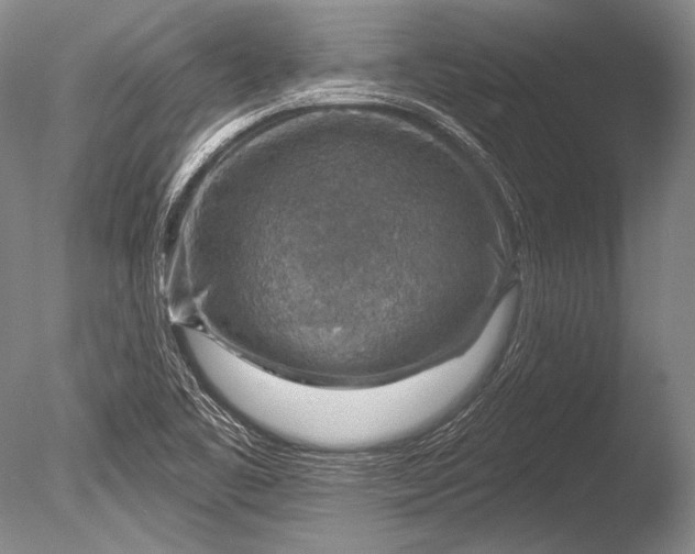 X0000085801461200703301445