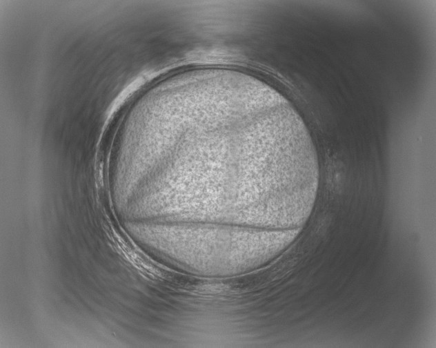 X0000085801462200703301445