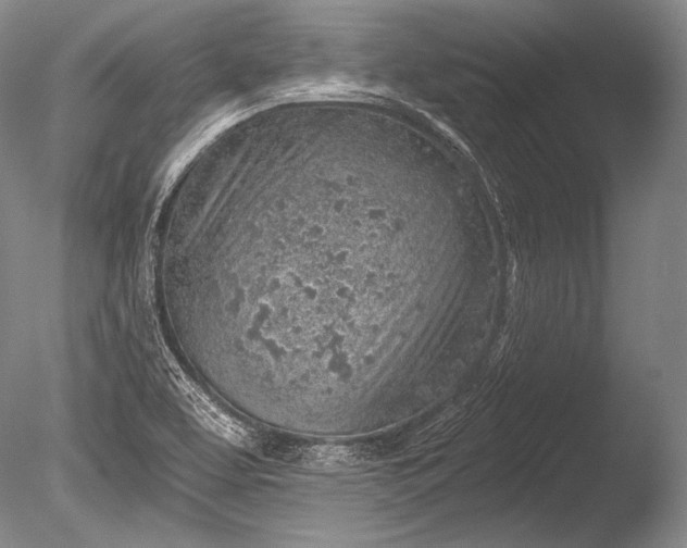 X0000085801463200703301445