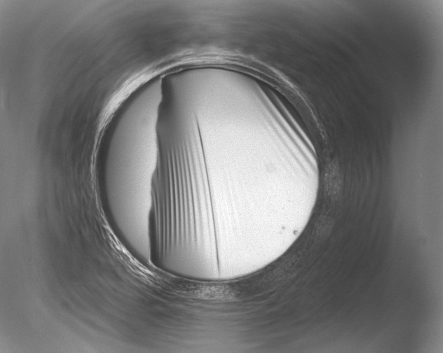 X0000085801464200703301445