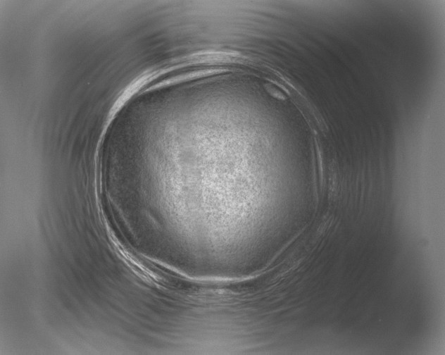 X0000085801467200703301445