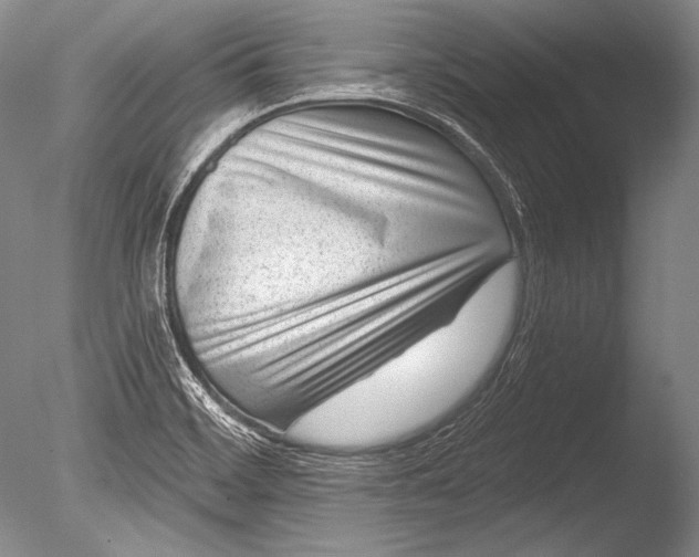 X0000085801468200703301445