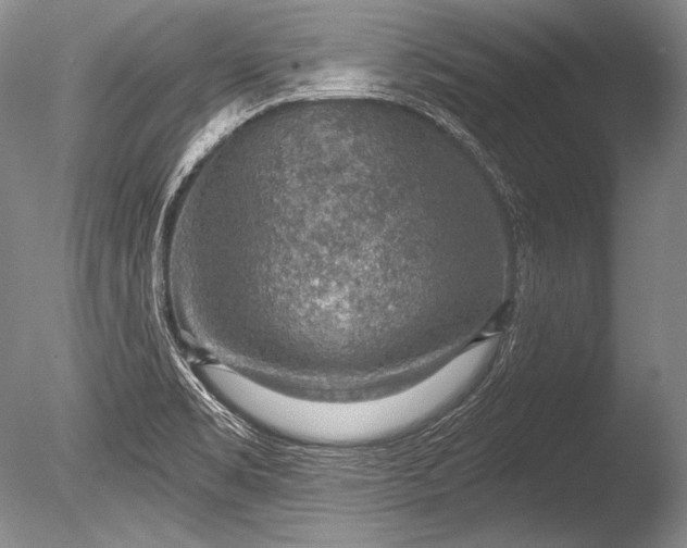 X0000085801469200703301445