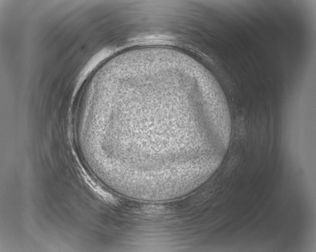 X0000085801470200703301445