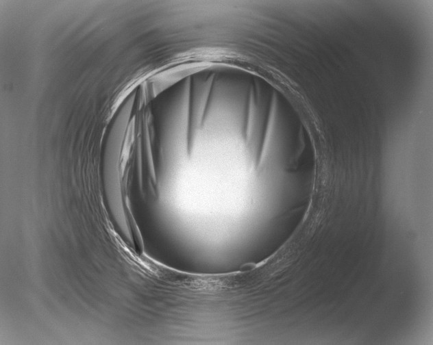 X0000085801473200703301445