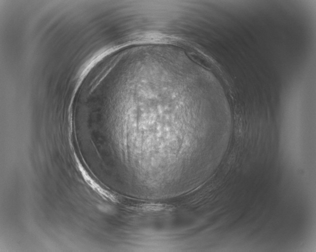 X0000085801479200703301445